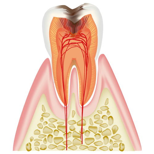 real-teeth004.png