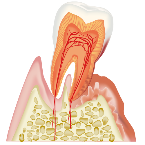 real-teeth007.png