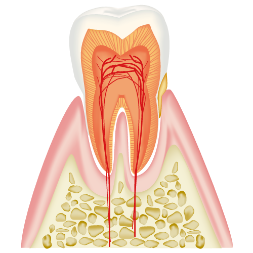 real-teeth009.png