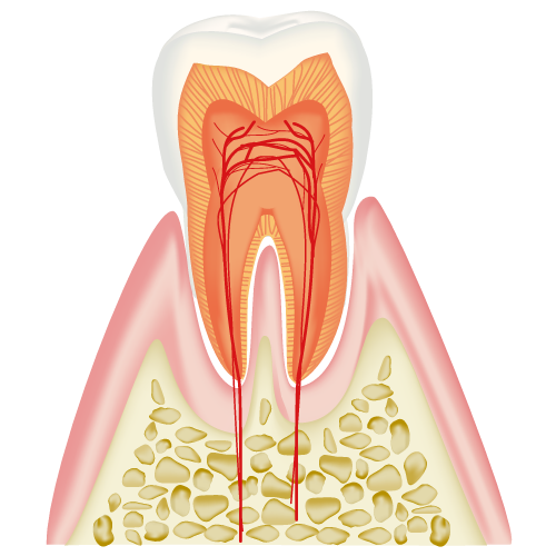 real-teeth001.png