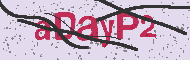 Captcha認証コード
